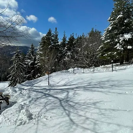 Case de vacanță Cassiopea *