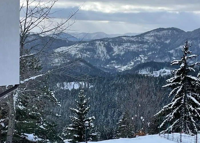 Dom wakacyjny Cassiopea *